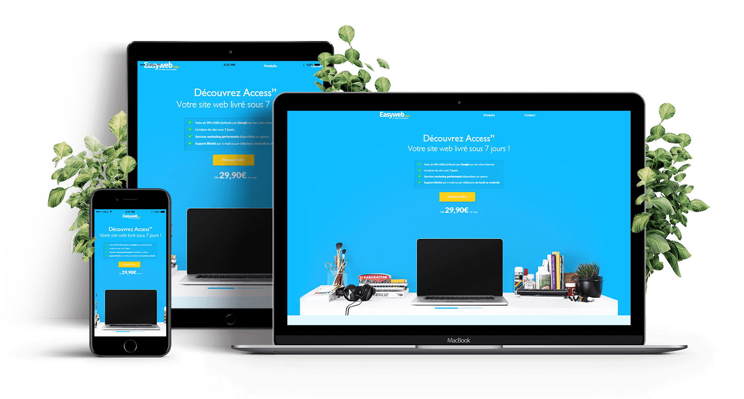 Image d'un site internet responsive
